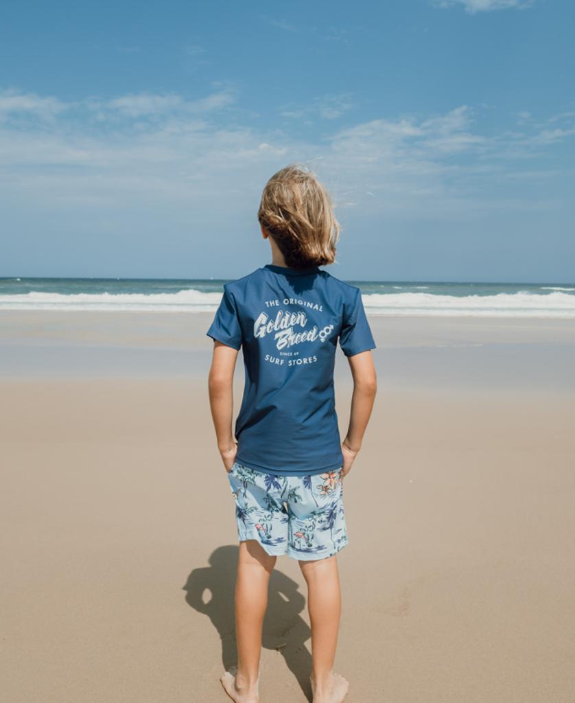 Flamingos Elastic Boys Boardie | Turquoise-Golden Breed