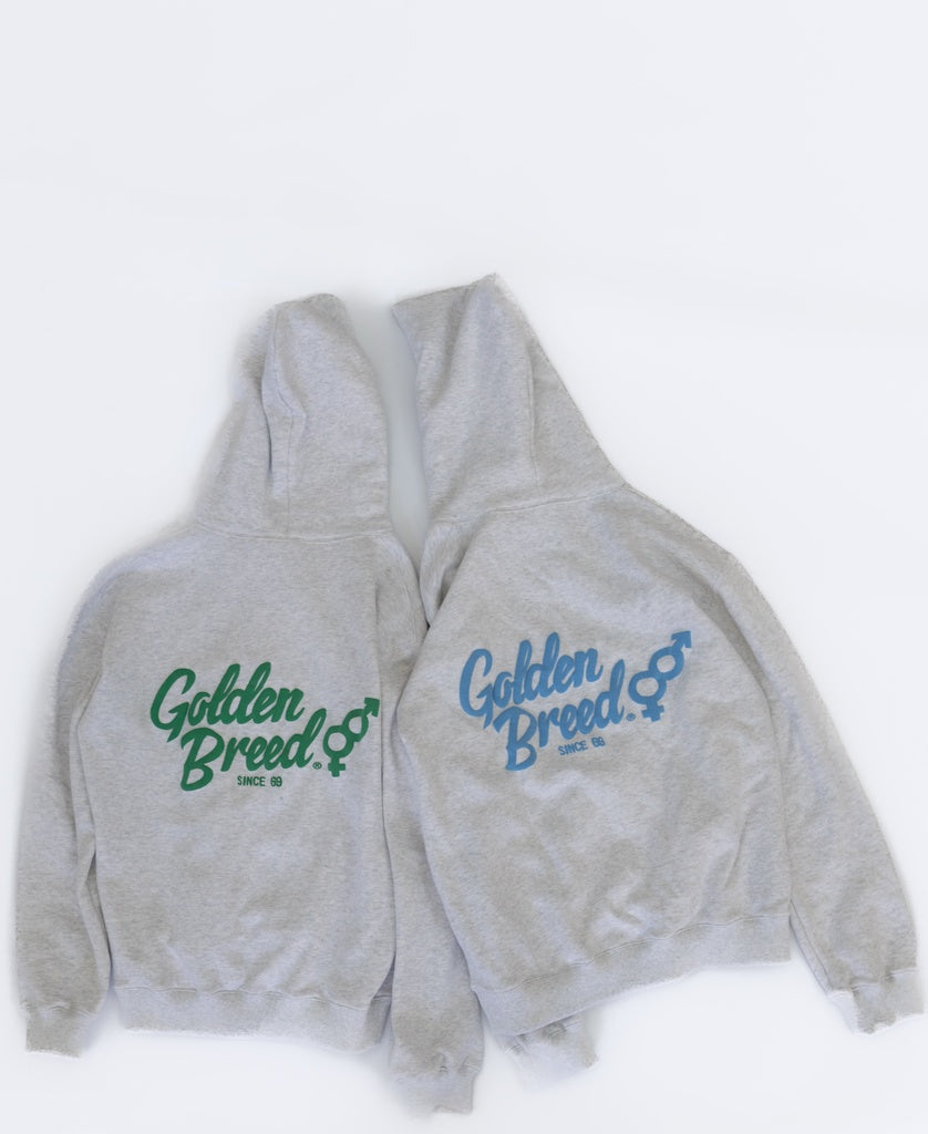Chessie Hoodie | White Misty/Azure