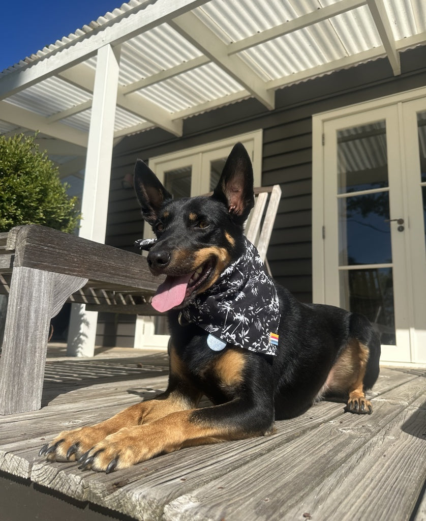 Dog Bandana | Palms Black-Golden Breed