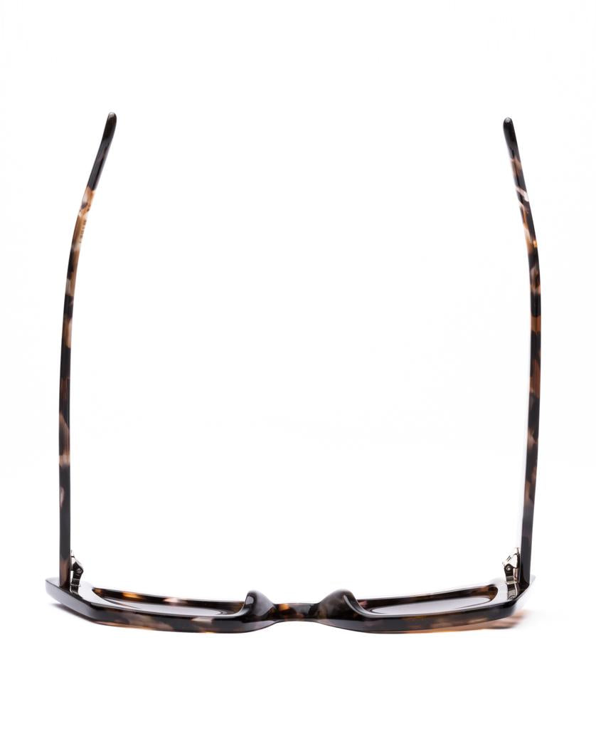 Cult Vision | Chestnut / Tort Coffee-Golden Breed