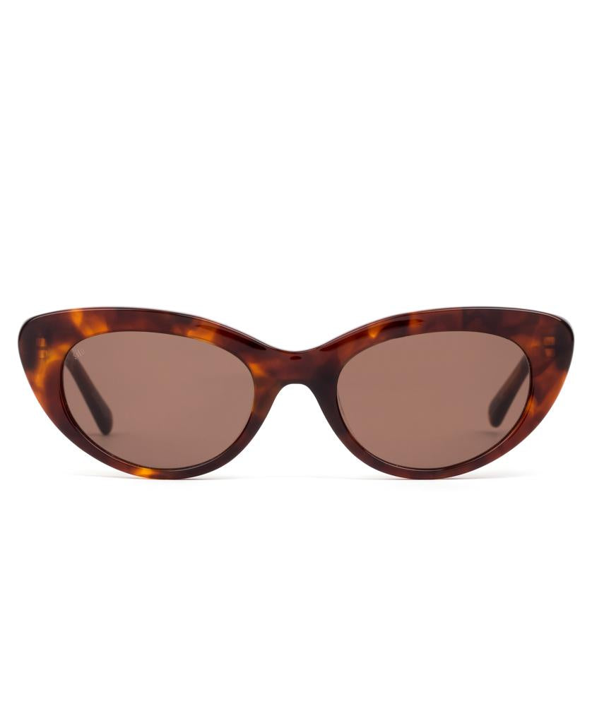 Siena | Burnt Orange Tort / Coffee-Golden Breed