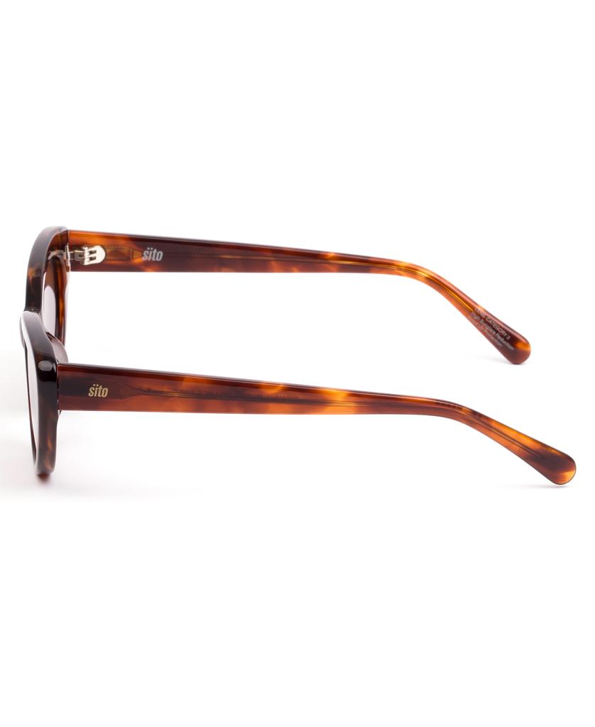Siena | Burnt Orange Tort / Coffee-Golden Breed