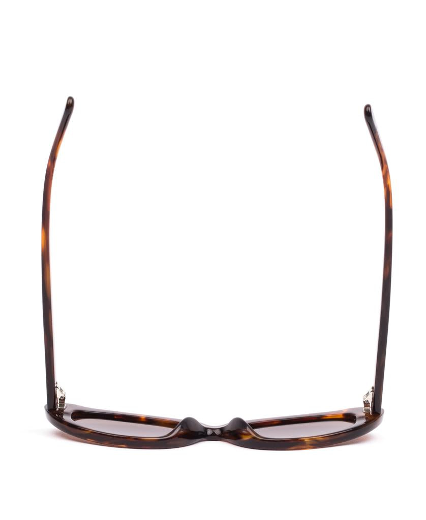 Siena | Burnt Orange Tort / Coffee-Golden Breed