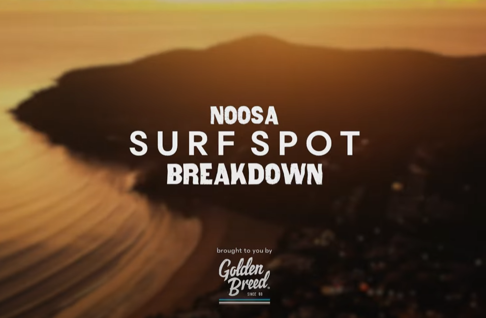 noosa surf spots