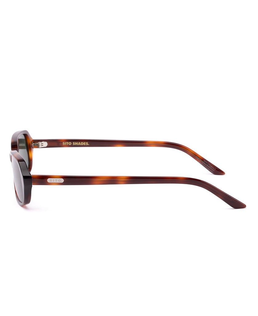 Sito ROUX: CLASSIC TORT/SLATE POLAR - Sunglasses
