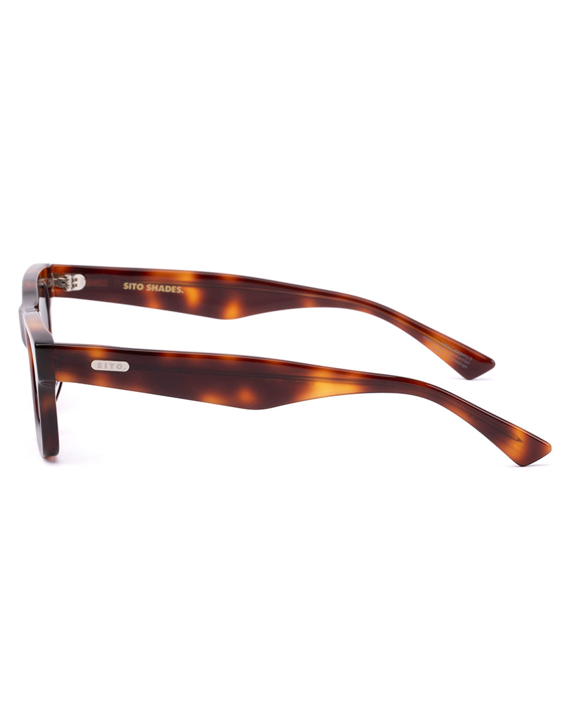 Sito VINCENT: CLASSIC TORT/SLATE POLAR - Sunglasses