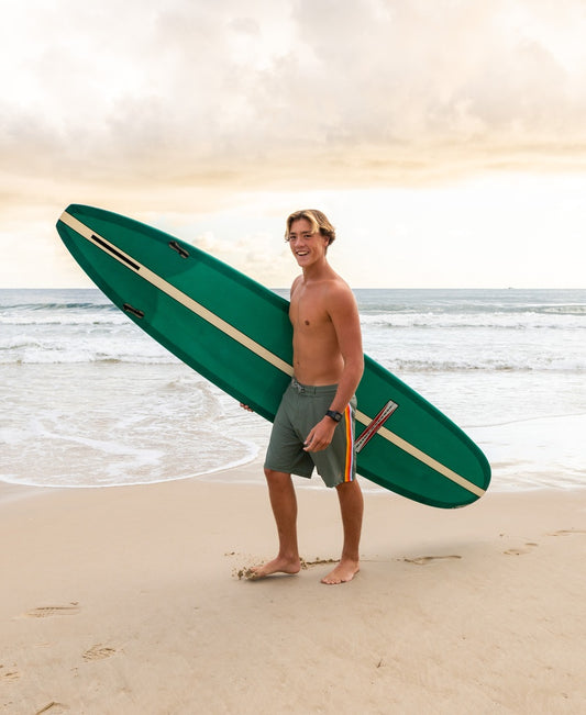 Long Island Boardie | Khaki-Golden Breed