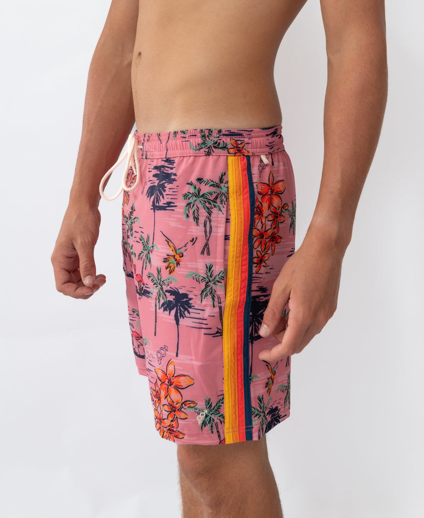Flamingos Elastic Waist Boardie | Rose