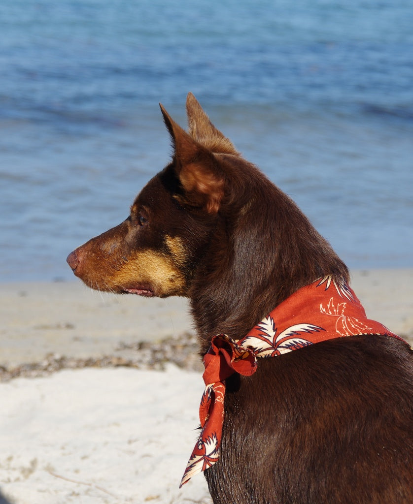 Dog Bandana | Pineapple Rust-Golden Breed