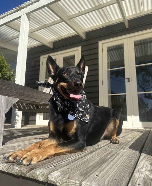 Dog Bandana | Palms Black-Golden Breed