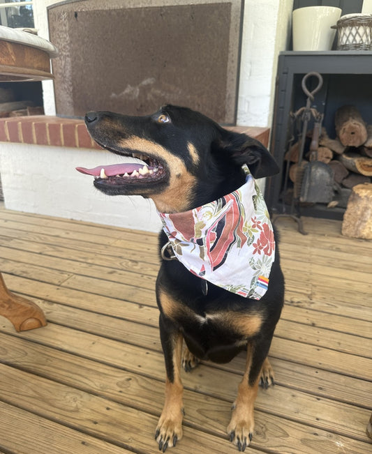 A black and tan dog sits on a wooden deck, wearing a vibrant Golden Breed Dog Bandana | Maui Off White, looking upward with its mouth open.