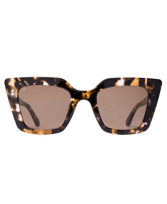 Cult Vision | Chestnut / Tort Coffee-Golden Breed