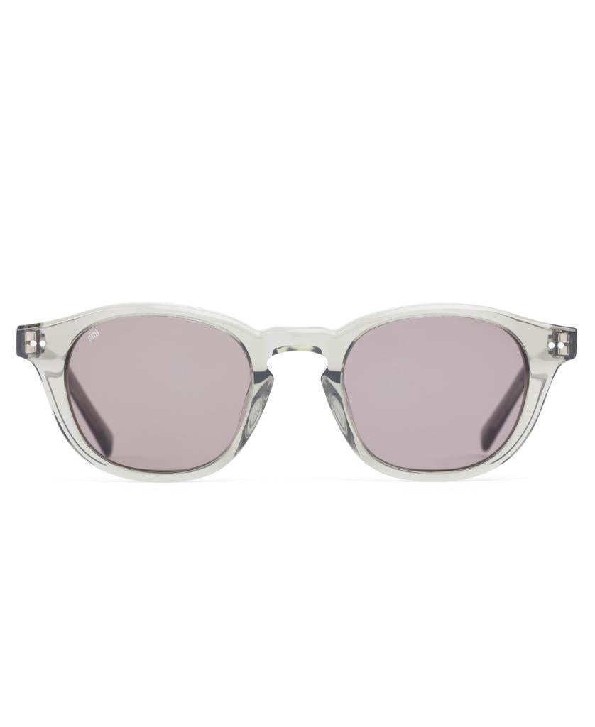 Elio | Nori / Grey-Golden Breed