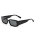 Electro Vision | Black / Iron Grey Polar
