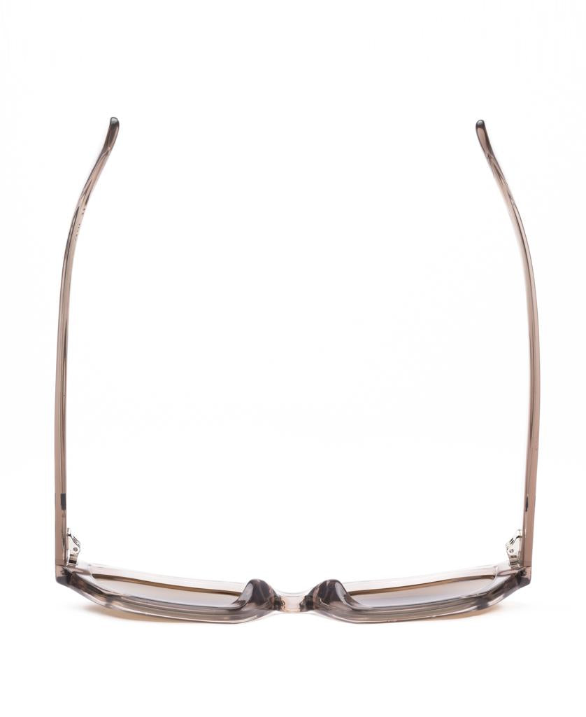 Kinetic | Chintz / Brown Polar-Golden Breed