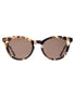 Now or Never | Chestnut / Tort Coffee-Golden Breed