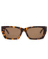 Outer Limits | Honey Tort / Brown Polar-Golden Breed