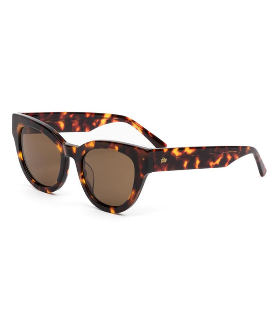 Soul Fusion | Maple Tort / Brown Polar