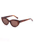 Siena | Burnt Orange Tort / Coffee-Golden Breed