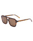 The Void | Maple Tort / Brown Polar