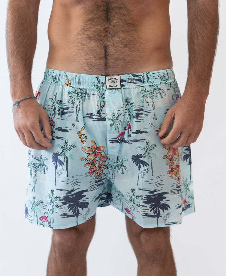 Golden Breed Tyson Boxer Short | Turquoise - Boxer Shorts